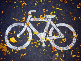 Les vélos cargos : quels impacts sur la mobilité urbaine ?