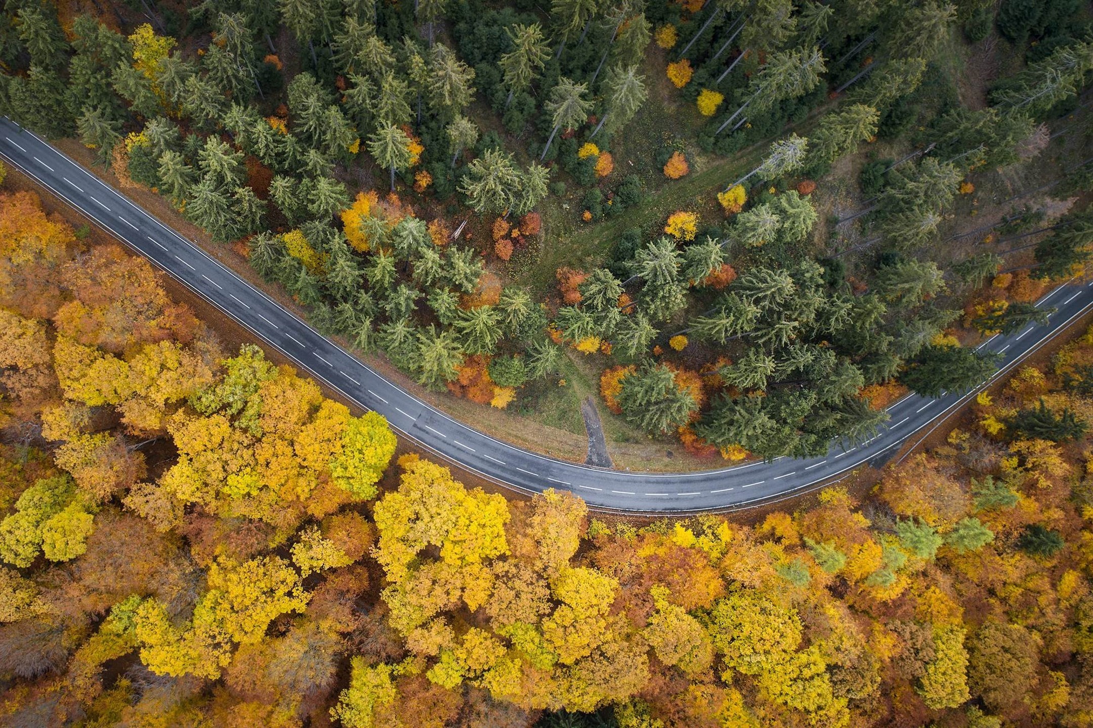 Mobilités dans le monde rural : vers de nouvelles alternatives